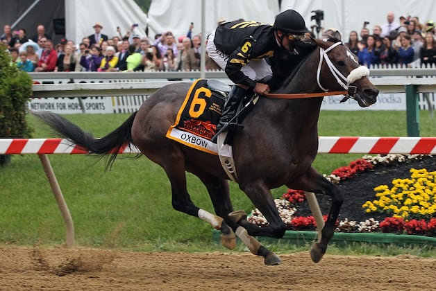 Belmont Stakes Predictions: Hyped Horses That Will Disappoint