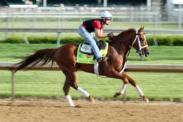 Belmont Stakes 2013 Field: Underrated Long Shots Worth a Bet