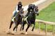 LOUISVILLE, KY - APRIL 27: Charming Kitten, riden by Patti Krotenko, and Revolutionary, riden by Calvin Borel, work out together during the morning excercise session in preparation for the 139th Kentucky Derby at Churchill Downs on April 27, 2013 in Louisville, Kentucky. (Photo by Matthew Stockman/Getty Images)