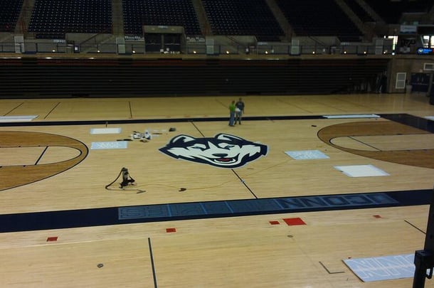 Here's a Photo of UConn's New Husky Logo at Gampel Pavilion
