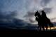 ELMONT, NY - JUNE 06: A general view of horses entering the track for a training session at Belmont Park on June 6, 2013 in Elmont, New York. (Photo by Al Bello/Getty Images)