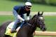 LOUISVILLE, KY - APRIL 29: Marvin Abrego rides Frac Daddy during the morning excercise session in preparation for the 139th Kentucky Derby at Churchill Downs on April 29, 2013 in Louisville, Kentucky. (Photo by Matthew Stockman/Getty Images)