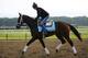 Unlimited Budget is one to watch for at Belmont Park on Saturday.
