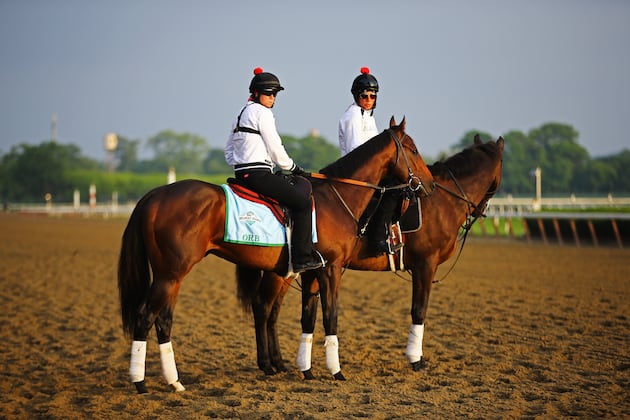 Belmont Stakes 2013 Contenders: Last-Minute Buzz Surrounding Top Horses