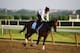ELMONT, NY - JUNE 06: Jennifer Patterson aboard Kentucky Derby winner Orb during a training session at Belmont Park on June 6, 2013 in Elmont, New York. (Photo by Al Bello/Getty Images)