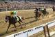 ELMONT, NY - JUNE 08: Palace Malice ridden by Mike Smith wins the 145th running of the Belmont Stakes followed by Oxbow and orb at Belmont Park on June 8, 2013 in Elmont, New York. (Photo by Al Bello/Getty Images)