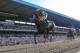 Jun 8, 2013; Elmont, NY, USA; Palace Malice ridden by Mike Smith crosses the finish to win the 145th running of the Belmont Stakes at Belmont Park. Mandatory Credit: Anthony Gruppuso-USA TODAY Sports