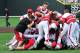 Jun 9, 2013; Nashville, TN, USA; Louisville Cardinals players celebrate after defeating the Vanderbilt Commodores to advance to the NCAA World Series following game two of the Nashville super regional of the 2013 NCAA baseball tournament at Hawkins Field. Louisville won 2-1. Mandatory Credit: Jim Brown-USA TODAY Sports