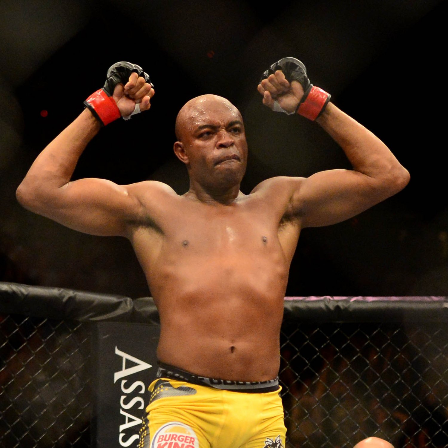 10 Most Devastating Knockouts In Ufc Title Fights Bleacher Report