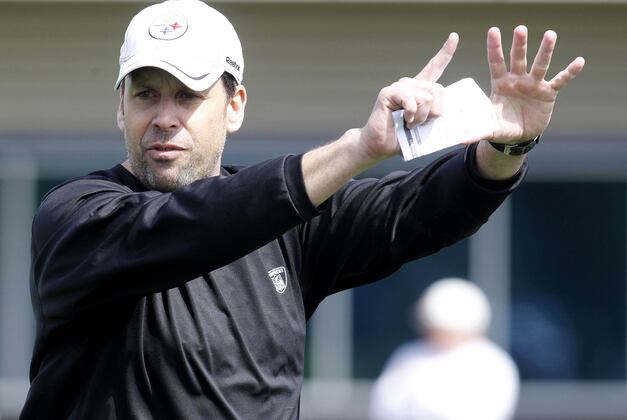 Haley Enhances Offense in Second Season