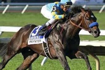 Paynter_original_crop_north