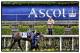 ASCOT, ENGLAND - MAY 11: (EDITORS NOTE: This image was processed using digital filters) A racegoer in the parade ring at Ascot racecourse on May 11, 2013 in Ascot, England. (Photo by Alan Crowhurst/Getty Images for Ascot Racecourse)