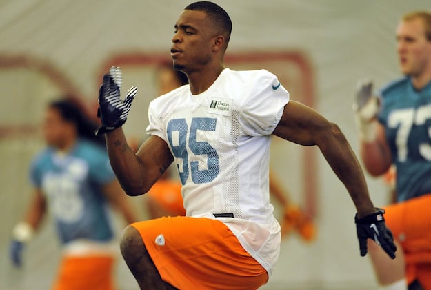 Debate: Which New Dolphin Are You Most Excited to See in 2013?