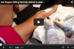 Gross Video of the Day: Cat Zingano Gets Her Melon-Knee Drained