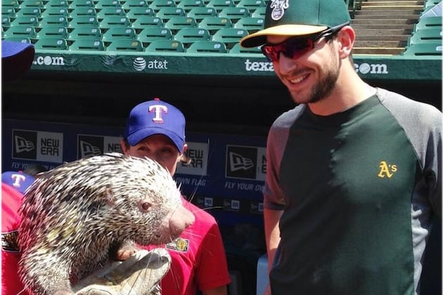 Twitter / Athletics: It's Wildlife Education Day ...