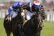 Will favored Society Rock replicate his 2011 feat of winning the Golden Jubilee Stakes?