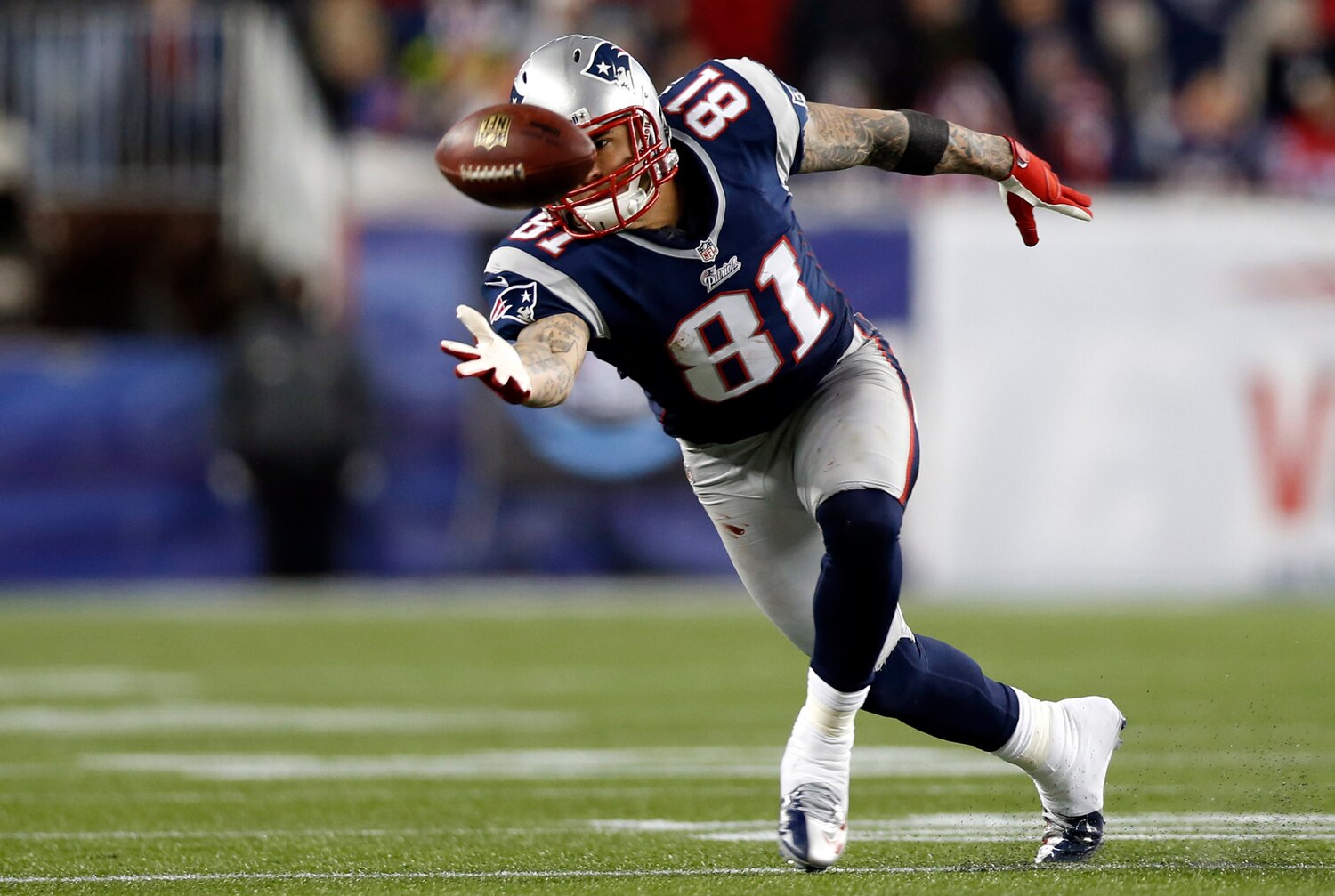 What Does The Word Patriots Mean