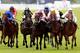 ASCOT, ENGLAND - JUNE 23: Luke Nolen riding Black Caviar (Salmon color, black spots) win The Diamond Jubilee Stakes during day five of Royal Ascot at Ascot racecourse on June 23, 2012 in Ascot, England (Photo by Jan Kruger/Getty Images)