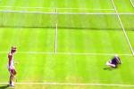 Wimbledon Ballboy Suffers Epic Wipeout During Match
