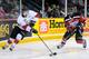 Subban, right, could end up being a better player than his brother...or end up struggling to find a job in the league.