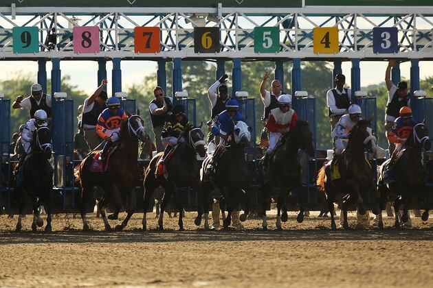 Racing's Battle of the Sexes -- on Four Legs