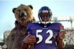 Most Viral Commercials in Sports