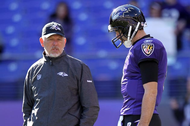 Cam Cameron on Joe Flacco's 'Great Mechanics'