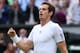 LONDON, ENGLAND - JULY 03: Andy Murray of Great Britain celebrates victory during the Gentlemen's Singles quarter-final match against Fernando Verdasco of Spain on day nine of the Wimbledon Lawn Tennis Championships at the All England Lawn Tennis and Croquet Club at Wimbledon on July 3, 2013 in London, England. (Photo by Clive Brunskill/Getty Images)