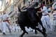 PAMPLONA, SPAIN - JULY 11: A fighting bull goes around Estafeta corner on the sixth day of the San Fermin running-of-the-bulls on July 11, 2011 in Pamplona, Spain. Pamplona's famous Fiesta de San Fermin, which involves the running of the bulls through the historic heart of Pamplona for eight days starting July 7th, was made famous by the 1926 novel of U.S. writer Ernest Hemmingway called 'The Sun Also Rises.' (Photo by Denis Doyle/Getty Images)