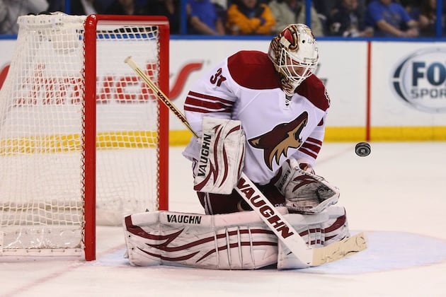 Bruins Sign Backup Goalie Johnson