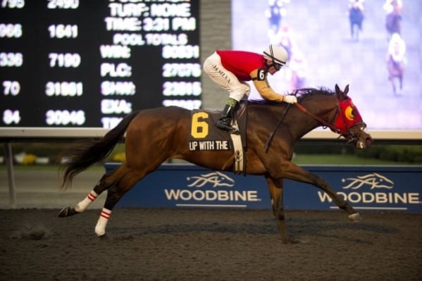 Queen's Plate 2013 Results: Winner, Payouts and Order of Finish