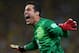 RIO DE JANEIRO, BRAZIL - JUNE 30: Julio Cesar of Brazil celebrates his team's second goal during the FIFA Confederations Cup Brazil 2013 Final match between Brazil and Spain at Maracana on June 30, 2013 in Rio de Janeiro, Brazil. (Photo by Jasper Juinen/Getty Images)