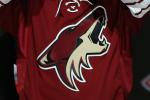 Report: Portland Had 'Serious' Interest in Landing Coyotes