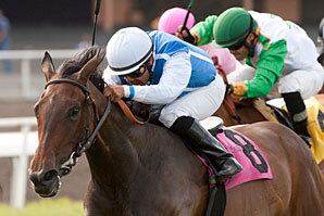 Sarach Sitting on Ready for American Oaks