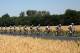 SAINT-AMAND-MONTROND, FRANCE - JULY 12: (R-3R) Michal Kwiatkowski of Poland, Sylvain Chavanel of France and Mark Cavendish of Great Britain and of Omega Pharma-Quickstep lead the peloton during stage thirteen of the 2013 Tour de France, a 173KM road stage from Tours to Saint-Amand-Montrond on July 12, 2013 in Saint-Amand-Montrond, France. (Photo by Bryn Lennon/Getty Images)