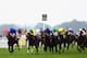 ASCOT, ENGLAND - JUNE 20: W J Lee rides Roca Tumu (yellow jersey with green hat) on his way to winning The Britannia Stakes on Ladies' Day during day three of Royal Ascot at Ascot Racecourse on June 20, 2013 in Ascot, England. (Photo by Paul Gilham/Getty Images)