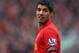 LIVERPOOL, ENGLAND - APRIL 07: Luis Suarez of Liverpool looks on during the Barclays Premier League match between Liverpool and West Ham United at Anfield on April 7, 2013 in Liverpool, England. (Photo by Alex Livesey/Getty Images)