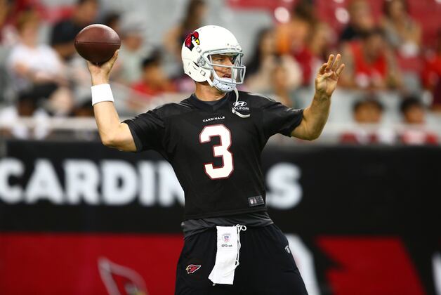 How Carson Palmer Can Re-Establish Dominant Form in Arizona