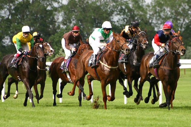 Alleged Drug Smugglers May Have Ties to Quarter Horse Racing