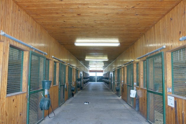Hopewell Farm Sold at Auction