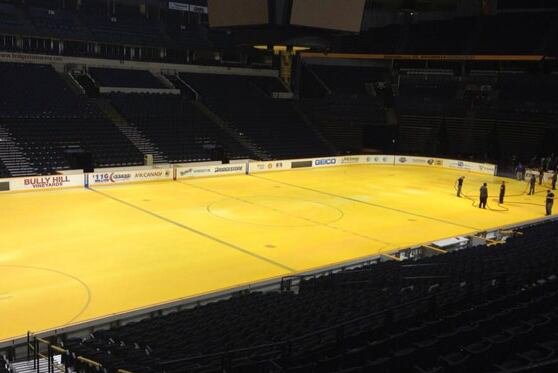 PHOTO: Nashville Ice Painted Predators Gold for Summer