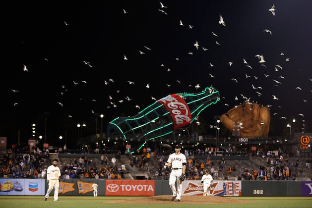 At Park Gulls Vex San Francisco Giants