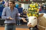 Swiss Open Organizers Give Federer a Cow