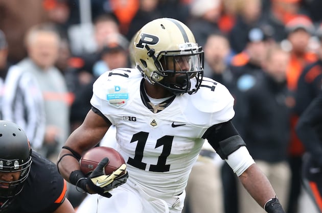 Ten Things to Know About 2013 Season