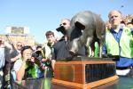 Best, Worst College Football Rivalry Trophies