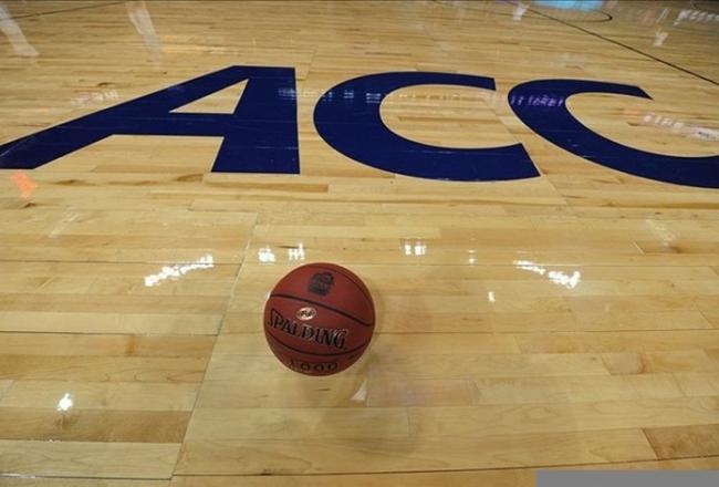 Basketball_crop_north