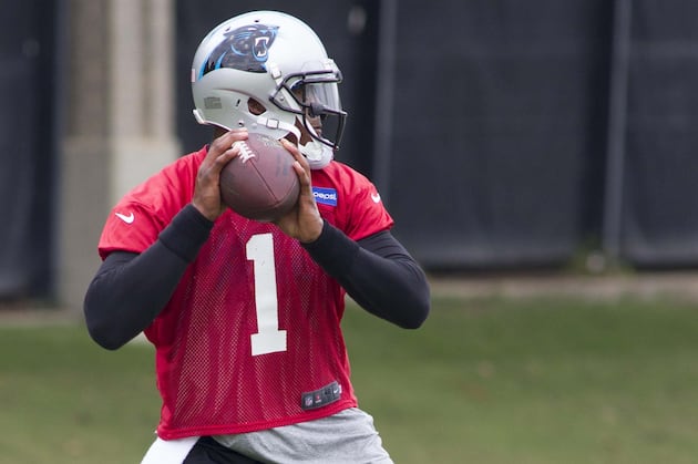 Carolina Panthers 2013 Training Camp Primer