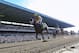 Jun 8, 2013; Elmont, NY, USA; Palace Malice ridden by Mike Smith crosses the finish to win the 145th running of the Belmont Stakes at Belmont Park. Mandatory Credit: Anthony Gruppuso-USA TODAY Sports