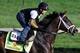 LOUISVILLE, KY - MAY 01: Exercise rider Humberto Zamora rides Kentucky Derby hopeful Verrazano during morning training in preparation for the 2013 Kentucky Derby at Churchill Downs on May 1, 2013 in Louisville, Kentucky. (Photo by Rob Carr/Getty Images)