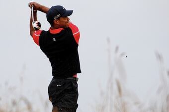 Tiger_crop_north